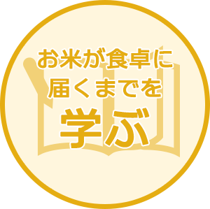 お米が食卓に届くまでを学ぶ