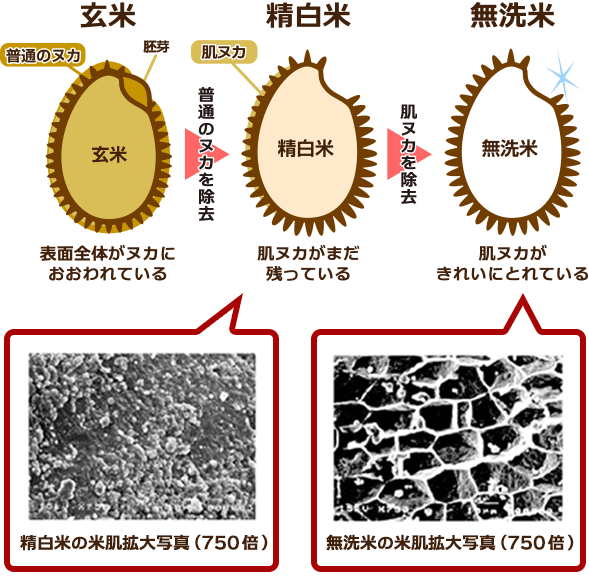 玄米のヌカを除去、肌ヌカを除去して無洗米に