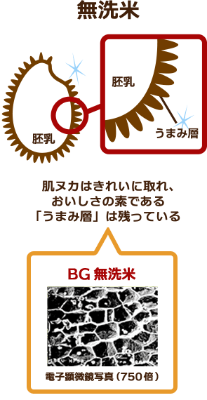 肌ヌカはきれいに取れ、おいしさの素である「うまみ層」は残っている