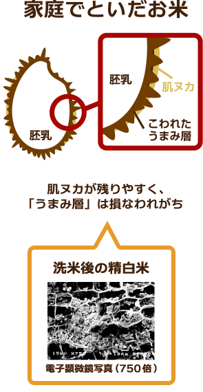 肌ヌカはきれいに取れ、おいしさの素である「うまみ層」は残っている