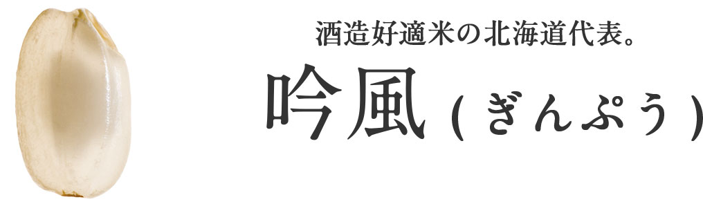 吟風(ぎんぷう)-酒造好適米の北海道代表