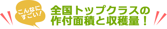 全国トップクラスの作付面積と収穫量！