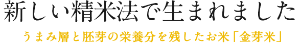 新しい精米法で生まれました - うまみ層と胚芽の栄養分を残したお米「金芽米」