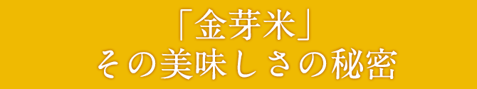 「金芽米」その美味しさの秘密