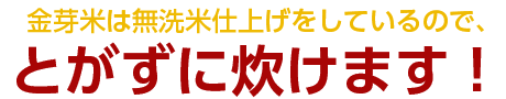 金芽米は無洗米仕上げをしているので、とがずに炊けます！