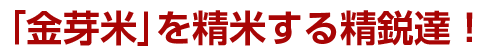 「金芽米」を精米する精鋭達！